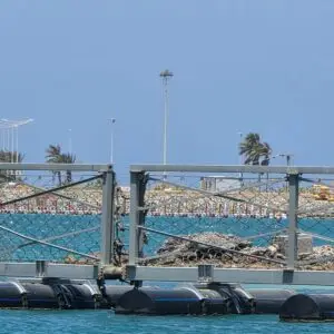 حواجز بحرية