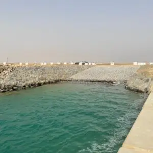 رافعات جسرية